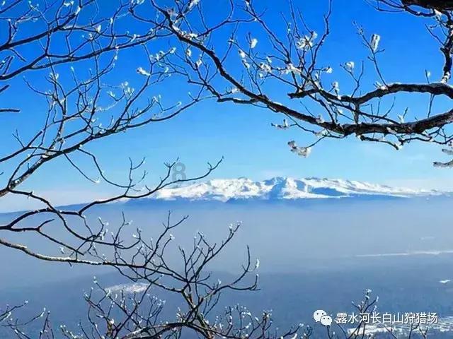 救援快乐的兔子